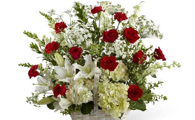 红色玫瑰花和白色康乃馨才是最佳拍档