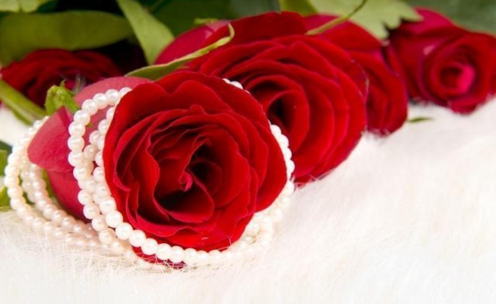 玫瑰花最基础也是最传统的插法