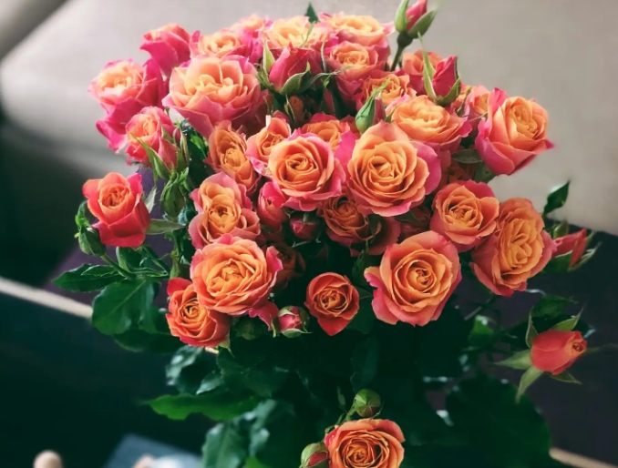 七夕送几朵玫瑰花送什么颜色的玫瑰花？